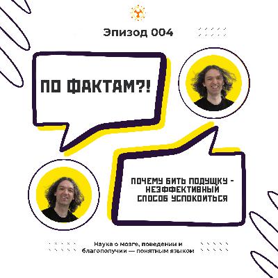 WTF004. Почему бить подушку — неэффективный способ успокоиться