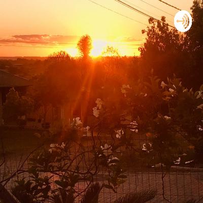 #8 A preservação do Self - A Armadilha no 2: A velha secarrona, a força senescente #8 A preservação do Self - A Armadilha no 2: A velha secarrona, a força senescente