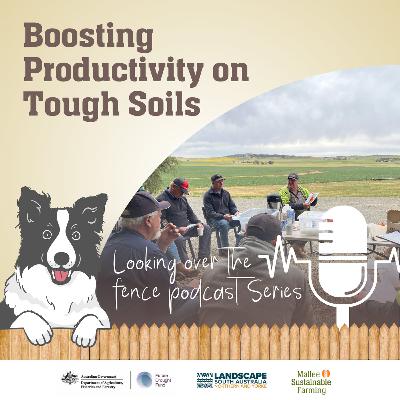 Boosting Productivity on Tough Soils Boosting Productivity on Tough Soils