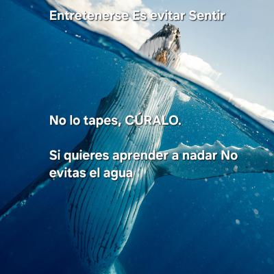 Cómo siente el pequeño Tea [Autista]