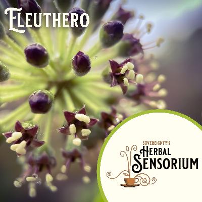 An Ode to Eleuthro and Cutting the C&%p about Adaptogens