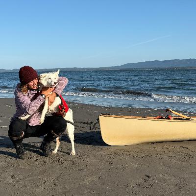 The Ship Report, Tuesday, November 18, 2025