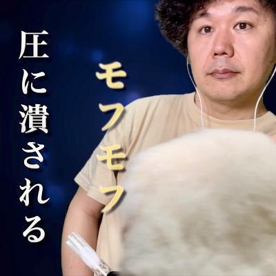 【ASMR耳かき】圧力・低音強めの落ち着くサウンド…柔らかい音フェチ