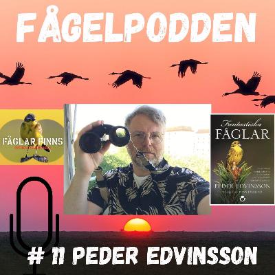 Peder Edvinsson