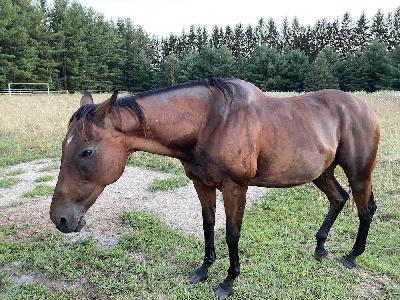 The Talking Dead #727: Hodge-podge The Talking Dead #727: Hodge-podge