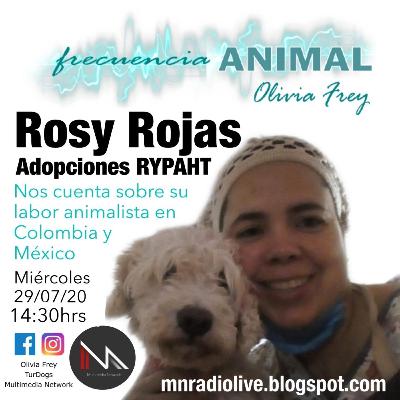 FRECUENCIA ANIMAL 15 CON OLIVIA FREY, INVITADA ROSY ROJAS DE ADOPCIONES RYPAHT
