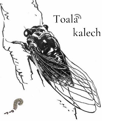 Toalakalech Toalakalech