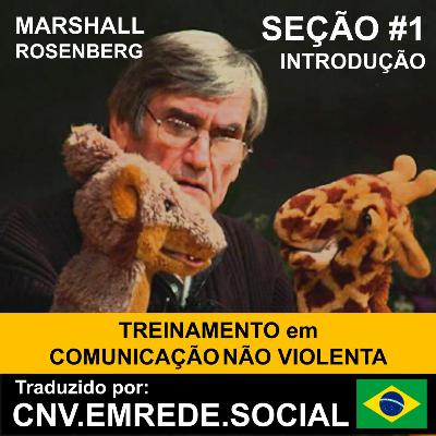 Seção 1 - Curso em Comunicação Não Violenta - Marshall Rosenberg