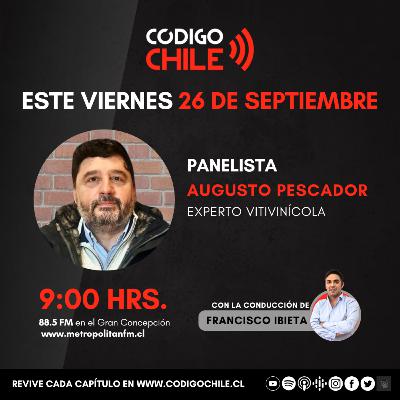 Vinos europeos | Entrevista Augusto Pescador | 26 de septiembre 2025