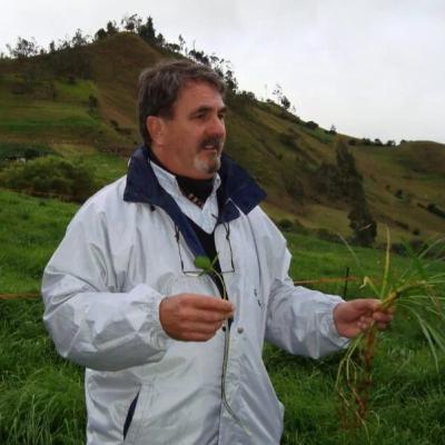 ¿Es cierto que los Rollos de Avena, Cebada o de Moha o Mijo se hacen en el peor momento de calidad? ¿Es cierto que los Rollos de Avena, Cebada o de Moha o Mijo se hacen en el peor momento de calidad?