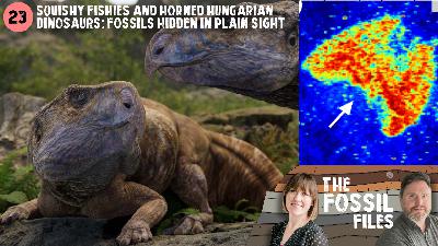 23. Squishy fishies and horned Hungarian dinosaurs: Fossils hidden in plain sight 23. Squishy fishies and horned Hungarian dinosaurs: Fossils hidden in plain sight
