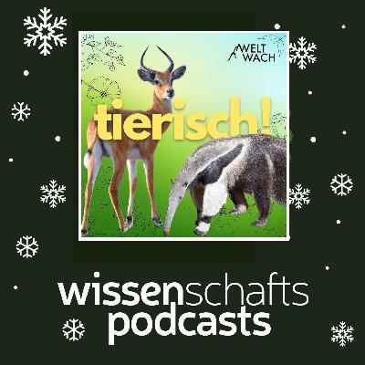 #WissPodWeihnacht 10: Tierisch weihnachtlich mit dem tierisch!-Podcast