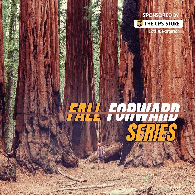 Why You Feel Stuck (and What Redwoods Can Teach You)