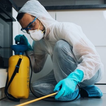 How Delaware Pest Control Services Can Transform Your Home