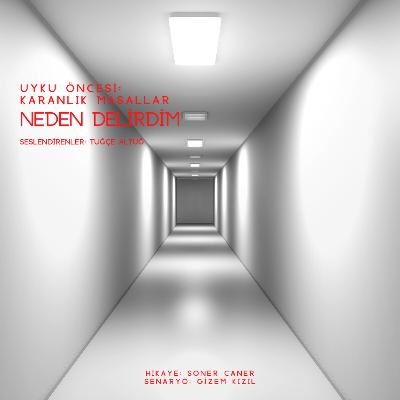 Bölüm 6 “Neden Delirdim”