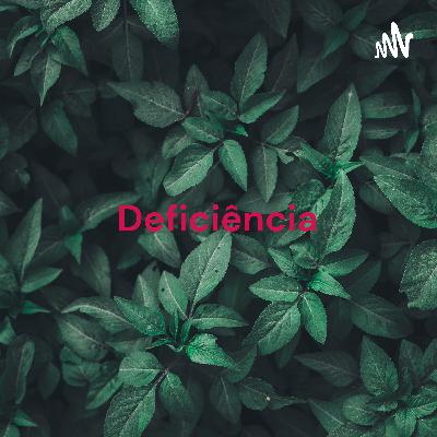 Principais Barreiras: deficiência e direitos iguais.