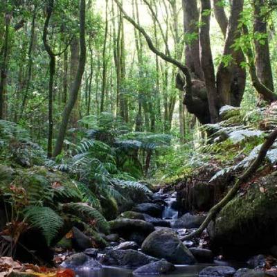 02 X05 Responsables del cuidado de nuestros montes