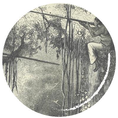 2. Curare - gejagtes Pfeilgift