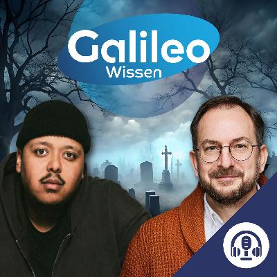 20 Minuten Dracula-Wissen