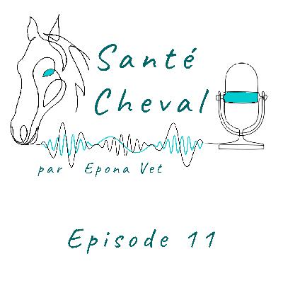 Ep. 11 – Piro-like, les maladies (part 3)
