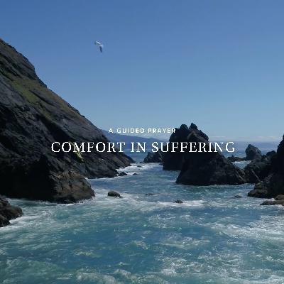 Comfort in Suffering