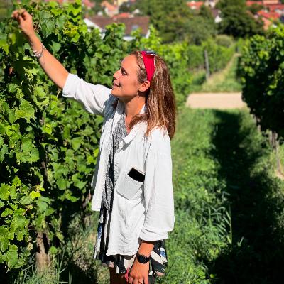 Bioland Weingut Isegrim (Germany, Pfalz) - Cool Climate Wine Summit Interviews