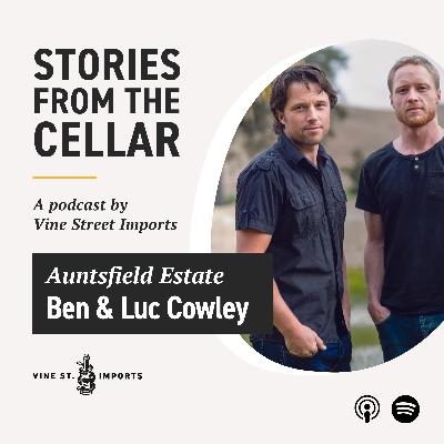 Ben & Luc Cowley (Auntsfield Estate): The story of Marlborough's first commercial winery