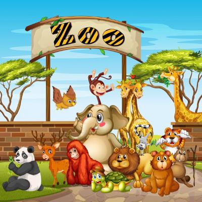 My experience of zoo