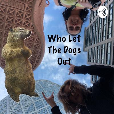 If Life was a Video Game