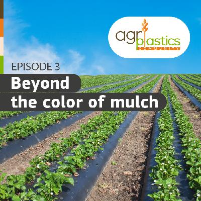 Beyond the color of mulch