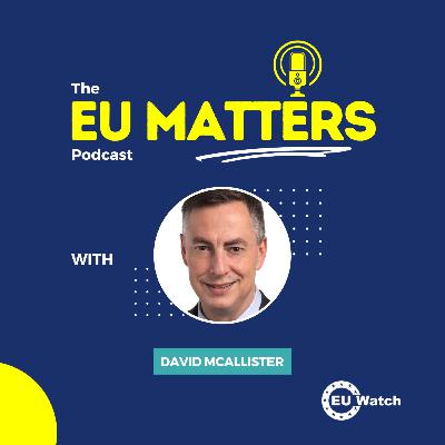 David McAllister about the European Parliament's impact on EU foreign policy