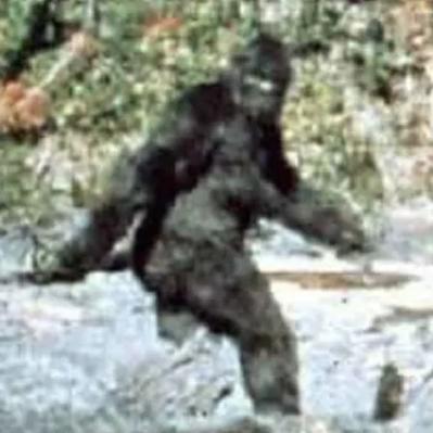 Episode 1 - Bigfoot, real or nah?
