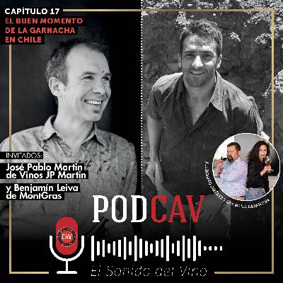 El buen momento de la garnacha en Chile #17
