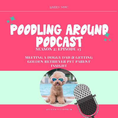 Meeting a Doggy Dad & Getting Golden Retriever Pet Parent Insight