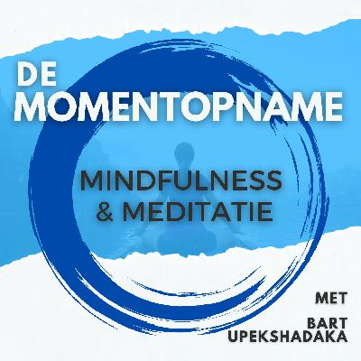 Als de rust verdampt: waar mindfulness echt begint