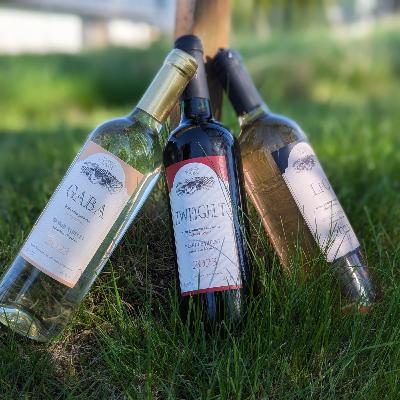 Pamiętacie jak mówiłem, że nie będzie o winie? Kłamałem... czyli moje odkrycie roku 2025 Pamiętacie jak mówiłem, że nie będzie o winie? Kłamałem... czyli moje odkrycie roku 2025