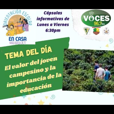 November 18: Dedication of the Basilicas of Saints Peter and Paul, Apostles—Optional Memorial