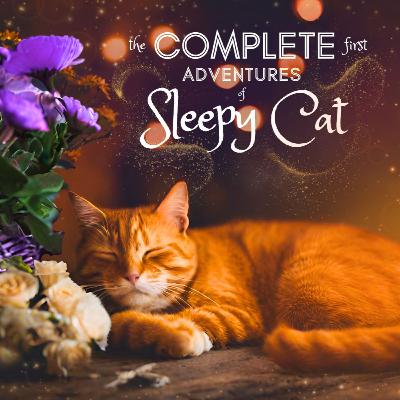 The Ultimate 8 HOUR Sleepy Cat Bedtime Stories 😻 ASMR Sleep Story