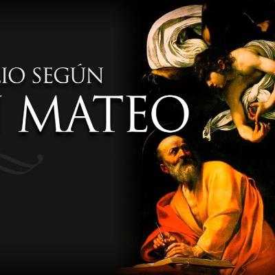 Mateo 13 y 14