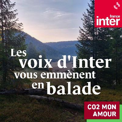 Les voix d'Inter vous emmènent en balade : Sur les traces de Rebecca Manzoni, Nicolas Stoufflet, Mathieu Vidard, et Fabienne Sintes