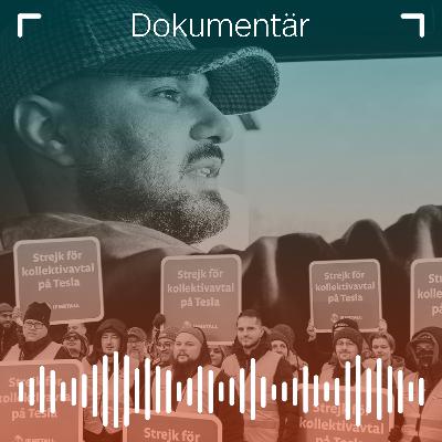 Dokumentär: Teslastrejken – Del 2. Det stinker på verkstan
