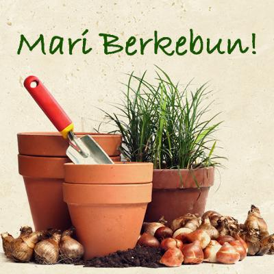 Kegiatan Berkebun 🌻