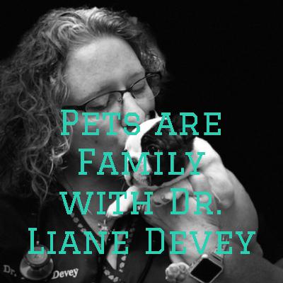 Pets Are Family - Pilot Episode: Focus on Dentistry