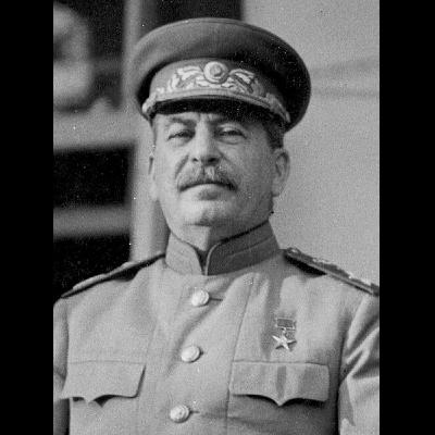 Zwischen Revolution und Diktatur: Das Leben Stalins