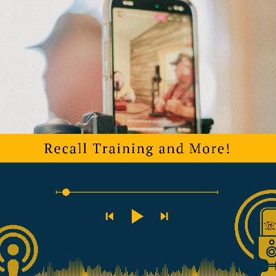 Recall training and More! Recall training and More!
