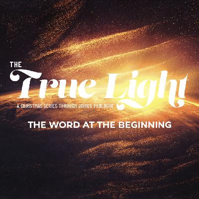 The Word At The Beginning | The True Light The Word At The Beginning | The True Light