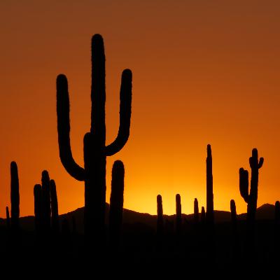 Desert Sojourn – Podcast