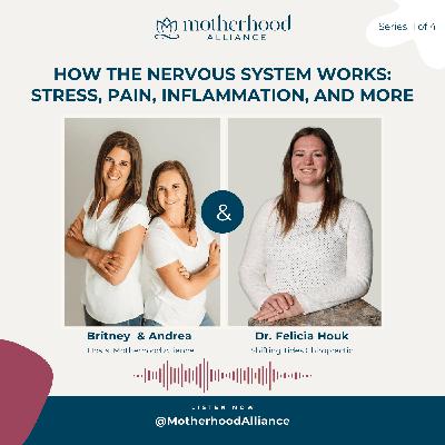 How the Nervous System Works: Stress, Pain, Inflammation, and More w/ Dr. Felicia Houk | Shifting Tides Chiropractic