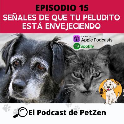 Episodio #15 Señales de que tu perrito o gatito esta envejeciendo