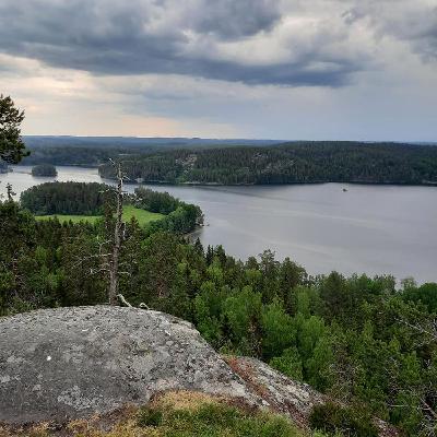 Fortsättning hur jag startade upp mitt liv i Sverige och alla kränkningar